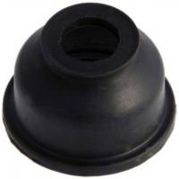 HBJB-CAP
