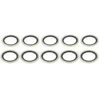 RINGAH-018-PCS10