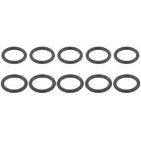 RINGWH-007-PCS10