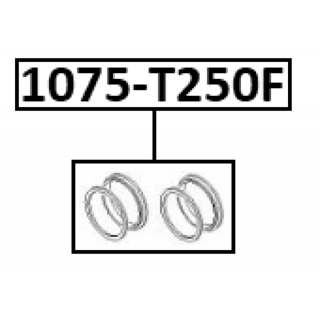 Scheme 1075-T250F