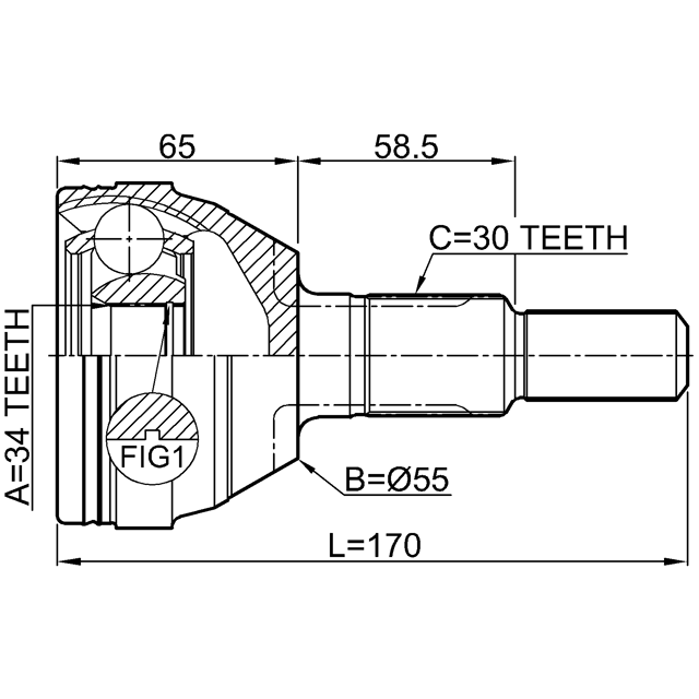 Scheme 1810-ANT