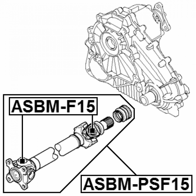Scheme ASBM-F15