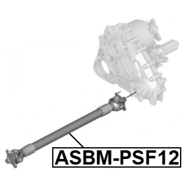 Scheme ASBM-PSF12