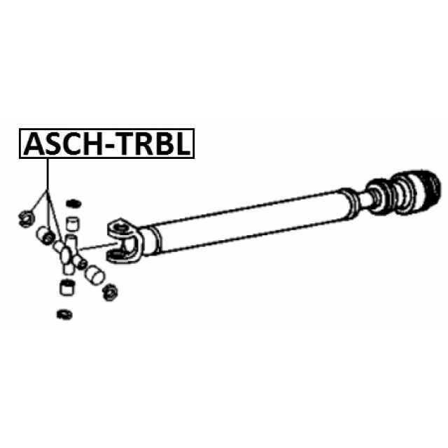 Scheme ASCH-TRBL