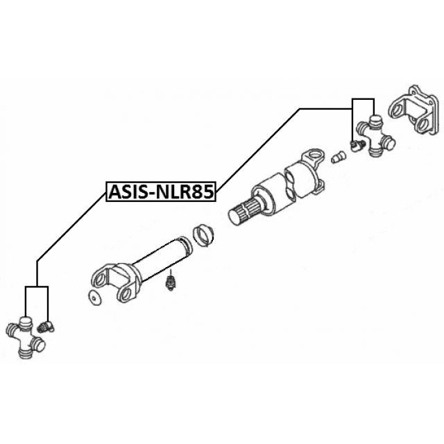 Scheme ASIS-NLR85
