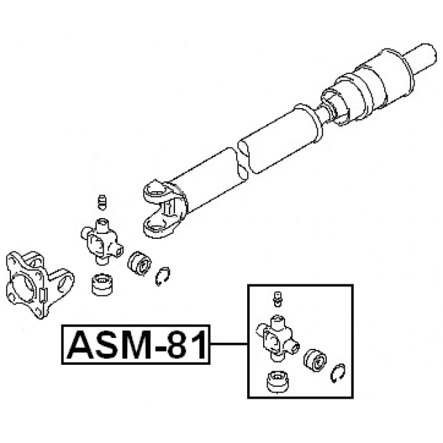 Scheme ASM-81