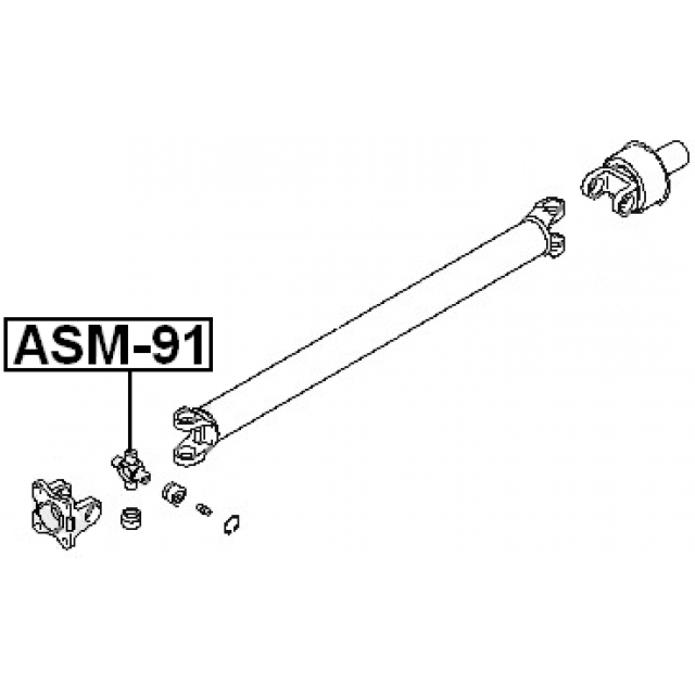 Scheme ASM-91