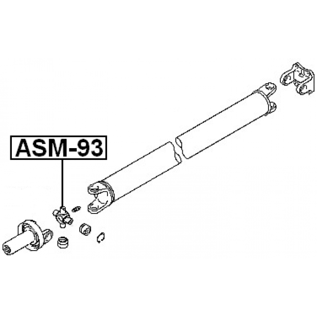 Scheme ASM-93