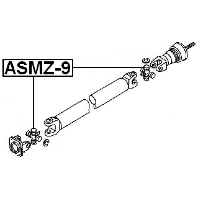 Scheme ASMZ-9