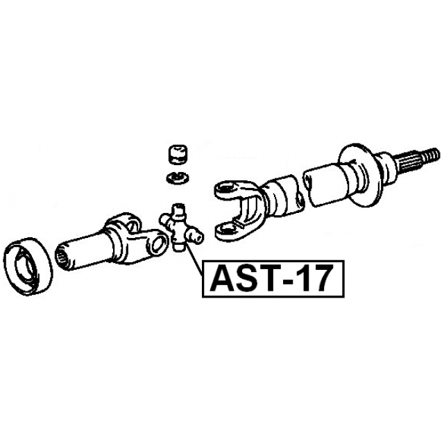 Scheme AST-17