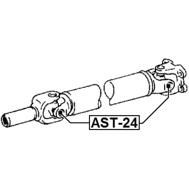 Scheme AST-24
