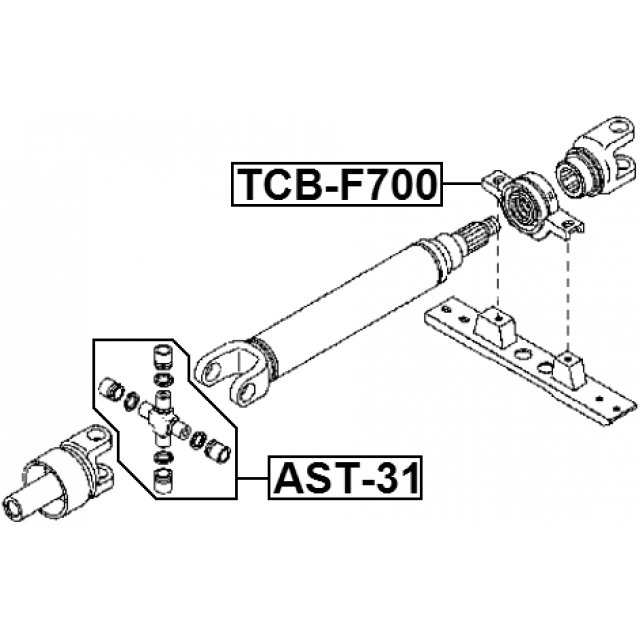 Scheme AST-31