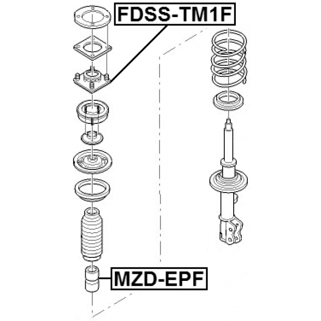 Scheme FDSS-TM1F