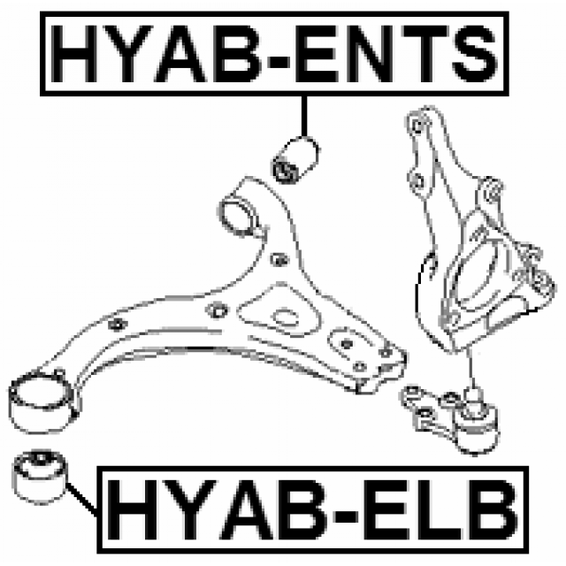 Scheme HYAB-ENTS