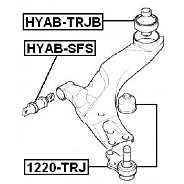 Scheme HYAB-TRJB