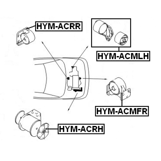 Scheme HYM-ACMFR