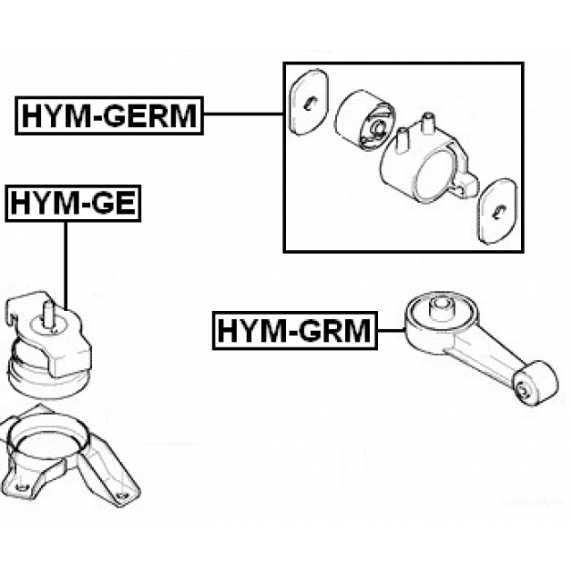 Scheme HYM-GERM