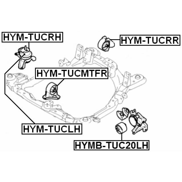 Scheme HYM-TUCMTFR