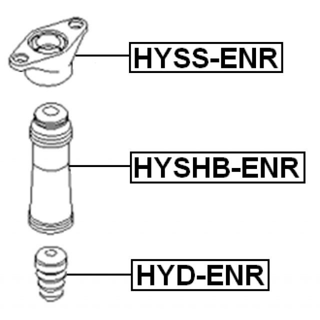 Scheme HYSS-ENR