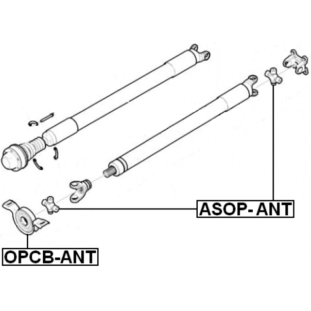 Scheme OPCB-ANT