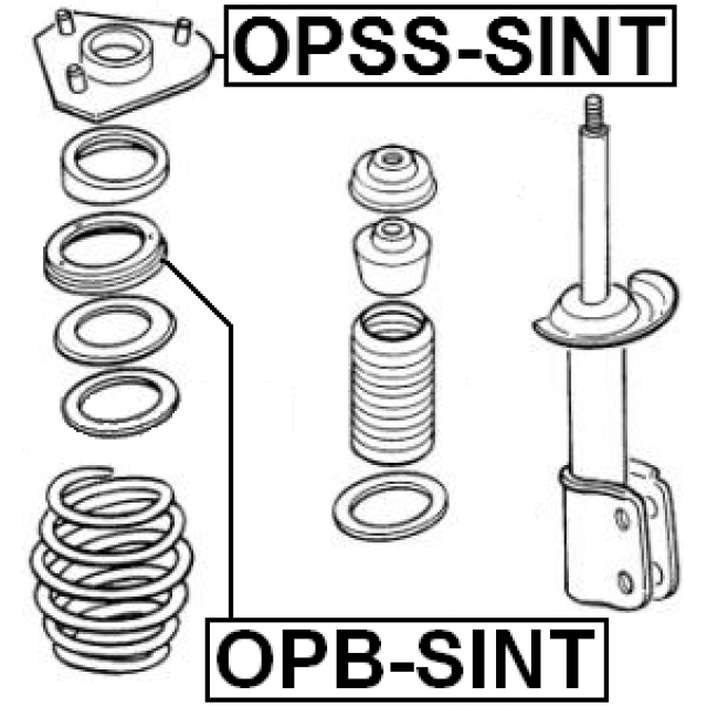 Scheme OPSS-SINT