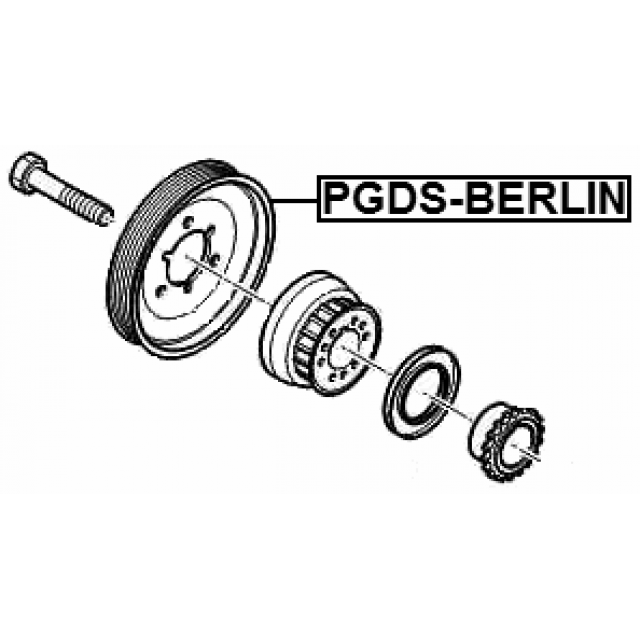 Scheme PGDS-BERLIN