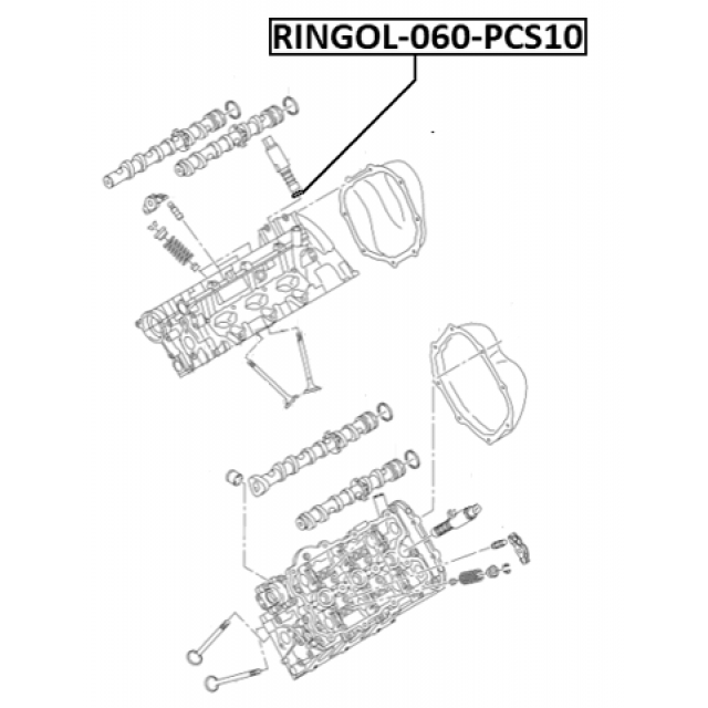 Scheme RINGOL-060-PCS10