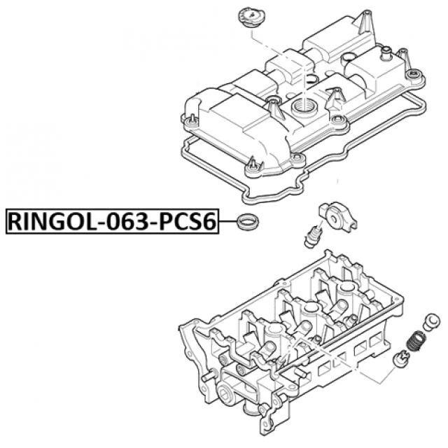 Scheme RINGOL-063-PCS6