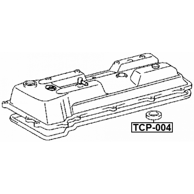 Scheme TCP-004