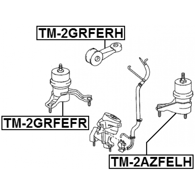 Scheme TM-2GRFEFR