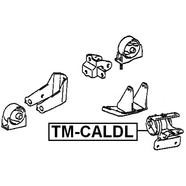 Scheme TM-CALDL
