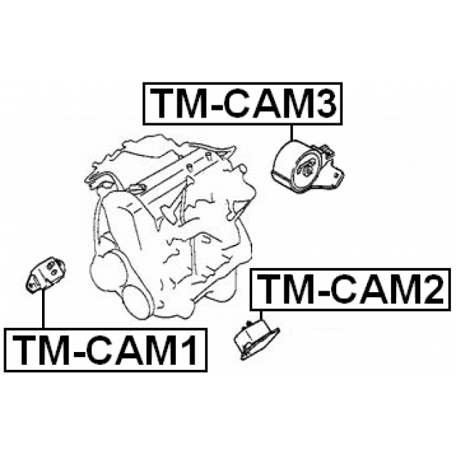 Scheme TM-CAM1