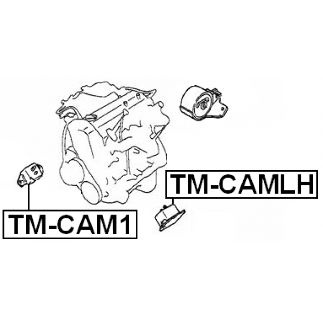 Scheme TM-CAMLH