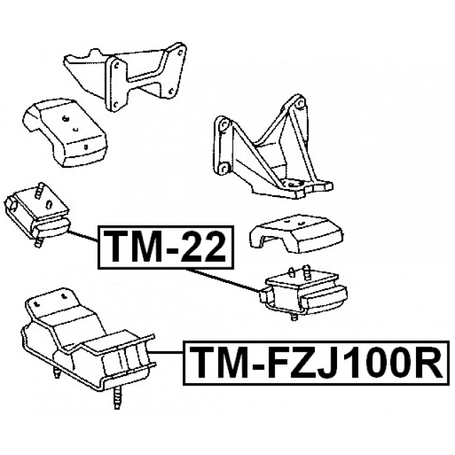 Scheme TM-FZJ100R
