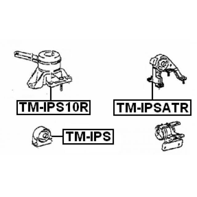 Scheme TM-IPS