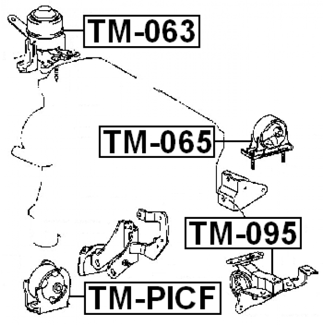 Scheme TM-PICF