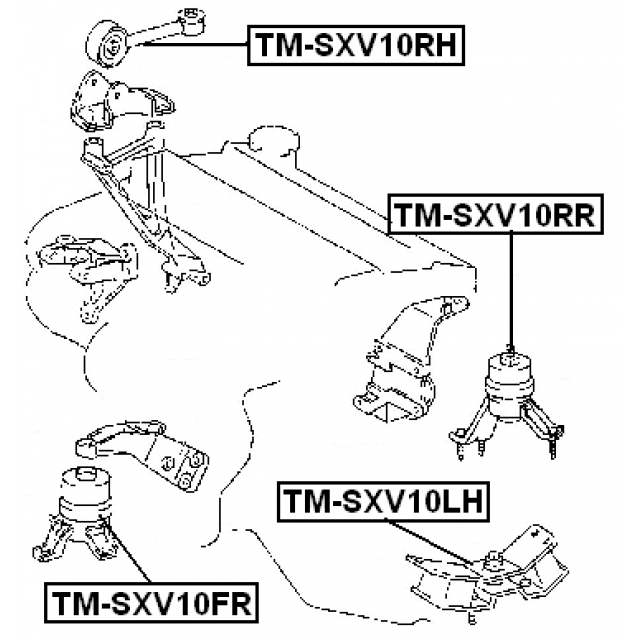 Scheme TM-SXV10FR