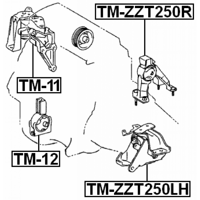 Scheme TM-ZZT250R