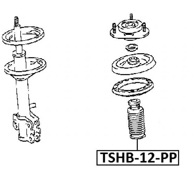 Scheme TSHB-12-PP