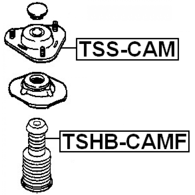 Scheme TSHB-CAMF