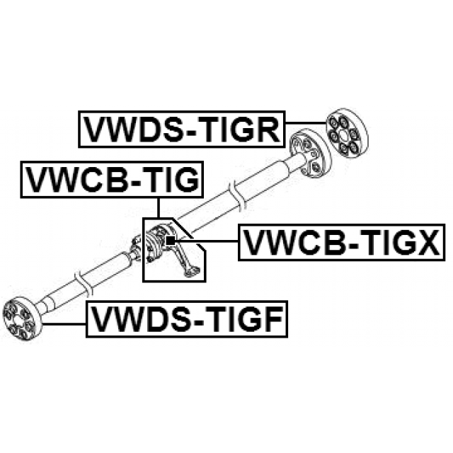 Scheme VWDS-TIGF